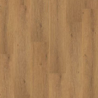 LY009-1